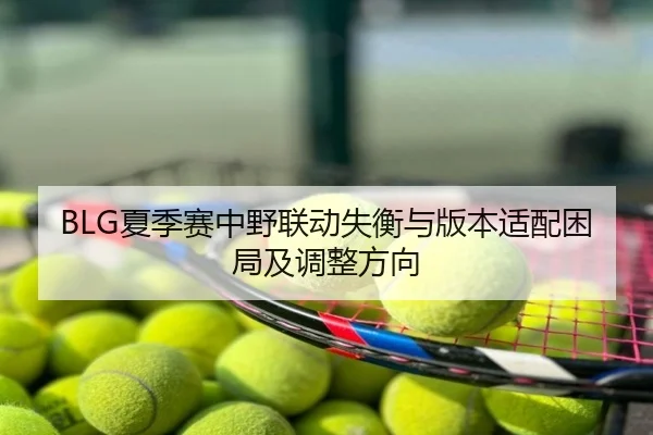 BLG夏季赛中野联动失衡与版本适配困局及调整方向
